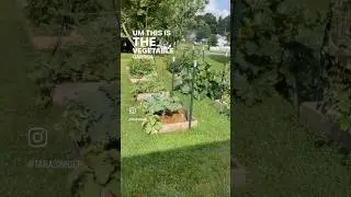 Morning walk around my garden.