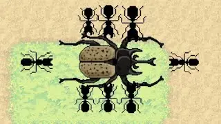 словил жука носорога (pocket ants симулятор колонии)