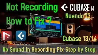 How to fix Not recording Cubase 13 # Nuendo 13 No Input in Cubase 2025 MACOS X