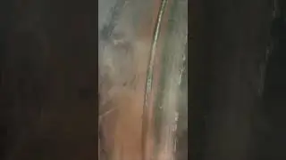 8010 Downhand Weld - 36 Inch Pipe - PIPE WELDING!!!
