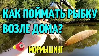 МОРМЫШИНГ ИЛИ КАК ЛОВИТЬ РАЗНУЮ РЫБУ ВОЗЛЕ ДОМА!