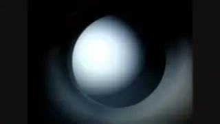 PEZZO DI MERDA - Dedicala a chi vuoi tu