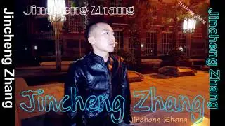 Jincheng Zhang - Danger I Love You (Background Music) (Instrumental Song) (Official Audio)