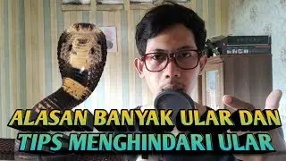 PENYEBAB VIRALNYA PENEMUAN ULAR DAN TIPS AGAR ULAR TIDAK MASUK RUMAH