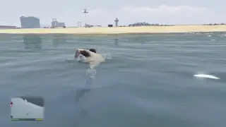 mitchell69's live PS4 broadcast : *** Youtube break ***
