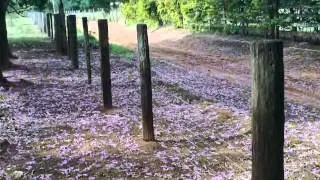 MELHORES PAISAGENS