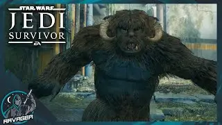 The Forest Array [E5] - Jedi Survivor