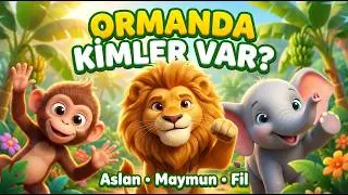 Ormanda Kimler Var? 🦁🐒🐘 | Aslan Maymun Fil Şarkısı | Piku Piku Çocuk Şarkıları