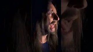 Жуки - 