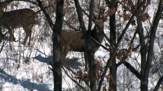 Промо. Фильм 