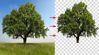 Photoshop Dekupe İşlemi İle Arşiv Oluşturma 1