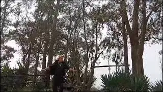 Fabián Palito - Amiga soledad - Versión Pop urbano