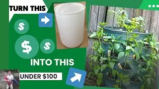 55 Gallon Drum Garden Tower Project Under $100 with Worm Composting Tube How To 