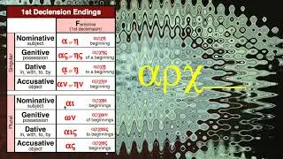 8  First Declension