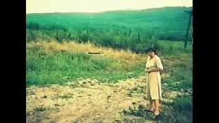 Материнское сердце 