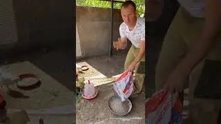 Пернатые друзья