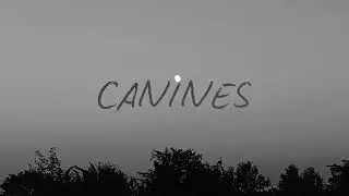 Ben Varney - Canines (Prod. By fetrowdemo)