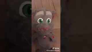 У игрушечного говорящего Тома изменился голос и у меня изменился