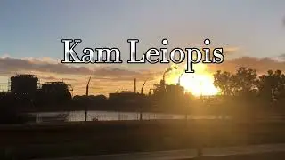 Kam leiopis