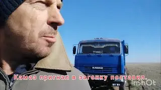!!!ПОЛОМКА комбайна Essil 740!!! ПОХОЛОДАНИЕ.ПРОДОЛЖАЕМ УБИРАТЬ УРОЖАЙ