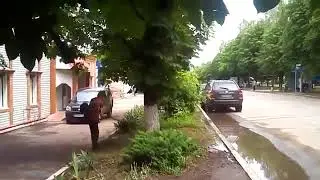 косарь