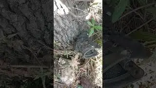окопы войны,лето часть 8