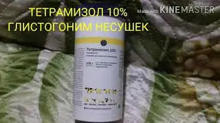 Дегильминтизация куриц. Как глистогонить куриц Тетрамизолом10%