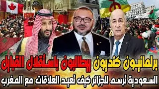 فرنسا وكندا تدعمان استقلال القبايل، السعودية تشترط للجزائر عودة العلاقات مع  المغرب