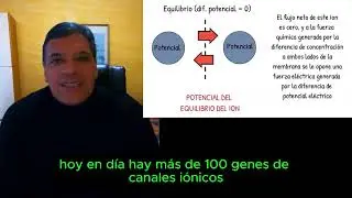 CANALES IÓNICOS