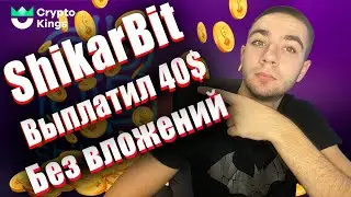 ShikarbitBot | ЗАРАБОТОК БЕЗ ВЛОЖЕНИЙ | Shikarbit Выплатил 40$