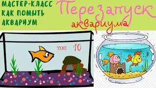 Restarting an aquarium and how to properly flush the substrate!!!