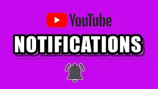 YouTube Notifications