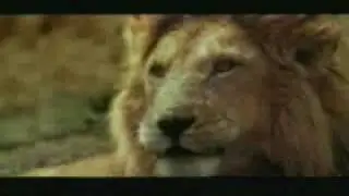 Power is nothing without control
