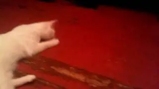 Муха