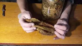 The Lazy Way to Ferment Tobacco: Week 3