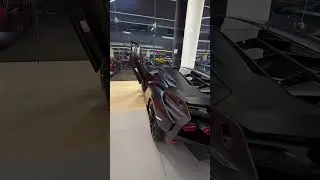 Lamborghini SIAN at Pupil of Fate Dubai