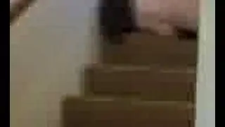 slide to the left, slide to the right!