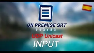 OnPremise SRT Server - (Español) Creando un Input UDP Unicast