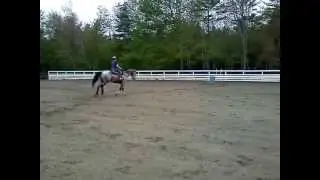 Morgan and Beau practicing first Barrel Race
