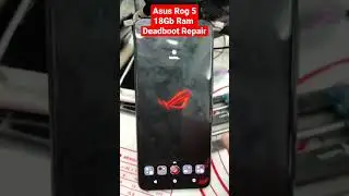 Asus Rog 5 18Gb Ram Dead Revive