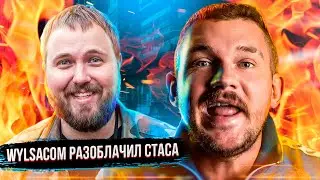 СТАС АЙ КАК ПРОСТО РАЗОБЛАЧИЛ WYLSACOM ПРЯМО НА СТРИМЕ