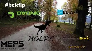 fly in the woods 🔥