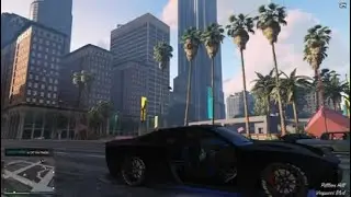 Grand Theft Auto V GTA savage