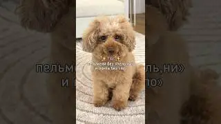 Идеальная валентинка! Уровень сложности 8 из 10. У вас получилось разгадать?