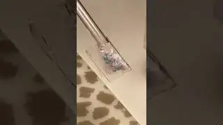 ПУЗЫРИ ИЗ СКОТЧА 