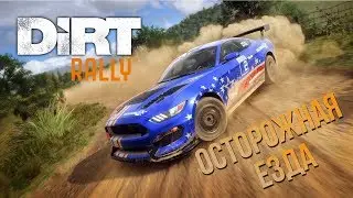 🔥 Dirt Rally ► Немного привыкаю к игре ► Осторожная езда 🔥