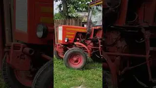 Т-25 поревозка пшеницы #traktor #трактор #tractorvideo #т25 #władimirec #т25 #traktör