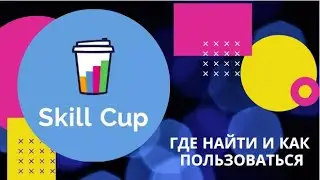 Skill Cup. Где найти, как загрузить, основные разделы.