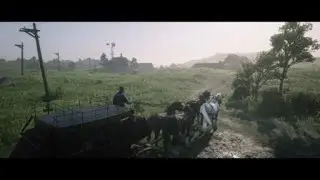 Stage coach loading screen glitch Red Dead Redemption 2