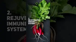 5 Amazing Reasons To Eat Radish #shorts